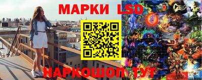 шишки Донецк