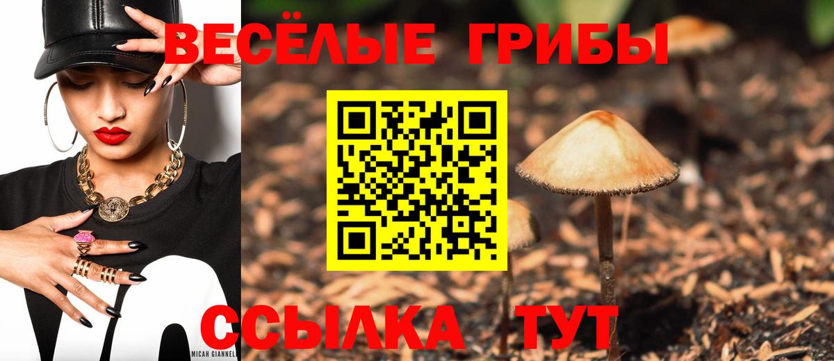 закладка  Галлюциногенные грибы прущие грибы  Вход с VPN  Миасс 